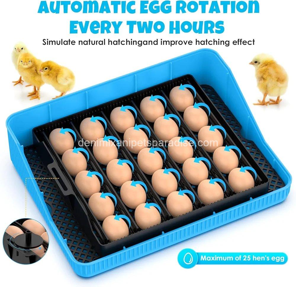 25 Egg Incubator Digital Poultry Hatcher Machine with Automatic Egg Turning, 2 25 Egg Incubator Digital Poultry Hatcher Machine with Automatic Egg Turning, - Image 2