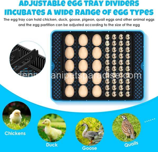 25 Egg Incubator Digital Poultry Hatcher Machine with Automatic Egg Turning, - Image 3