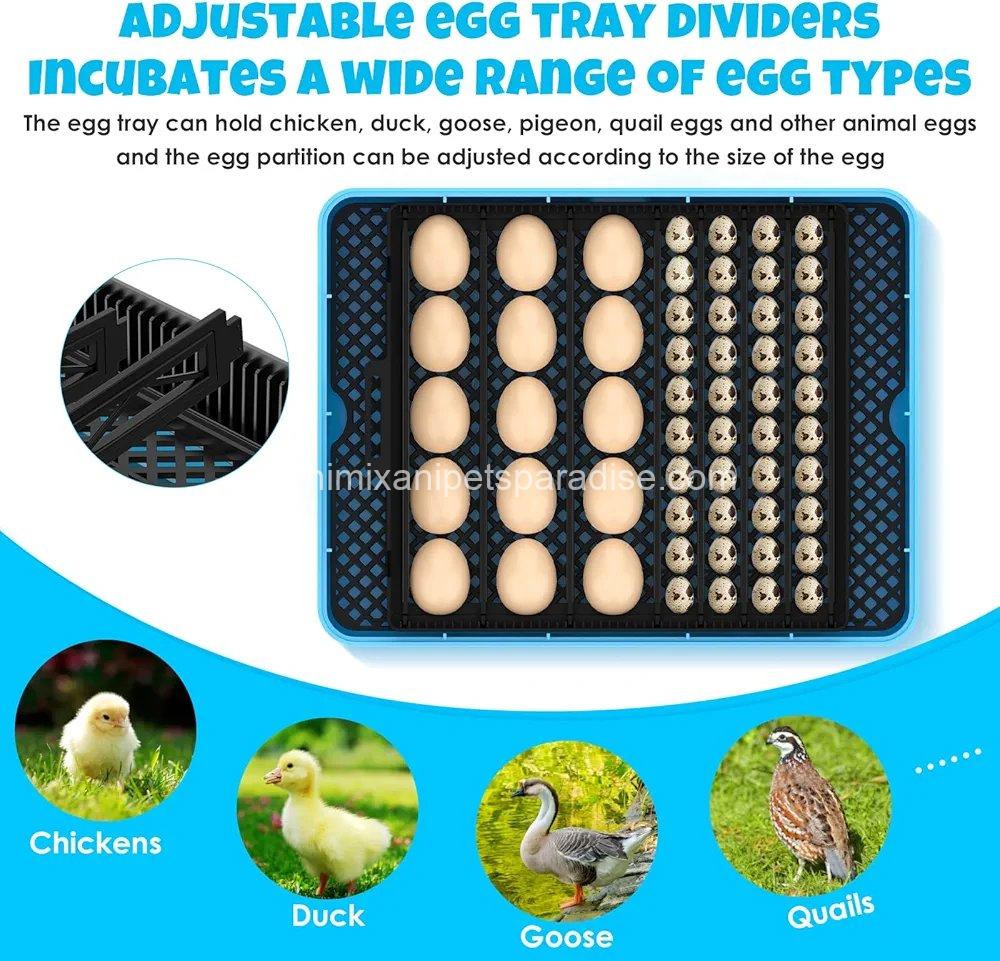 25 Egg Incubator Digital Poultry Hatcher Machine with Automatic Egg Turning, 3 25 Egg Incubator Digital Poultry Hatcher Machine with Automatic Egg Turning, - Image 3