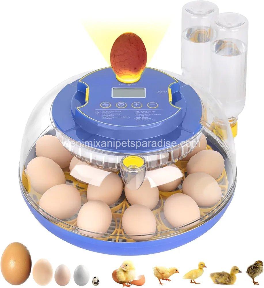 18 Egg Incubator, for Hatching Eggs with Automatic Egg Turner 1 18 Egg Incubator, for Hatching Eggs with Automatic Egg Turner