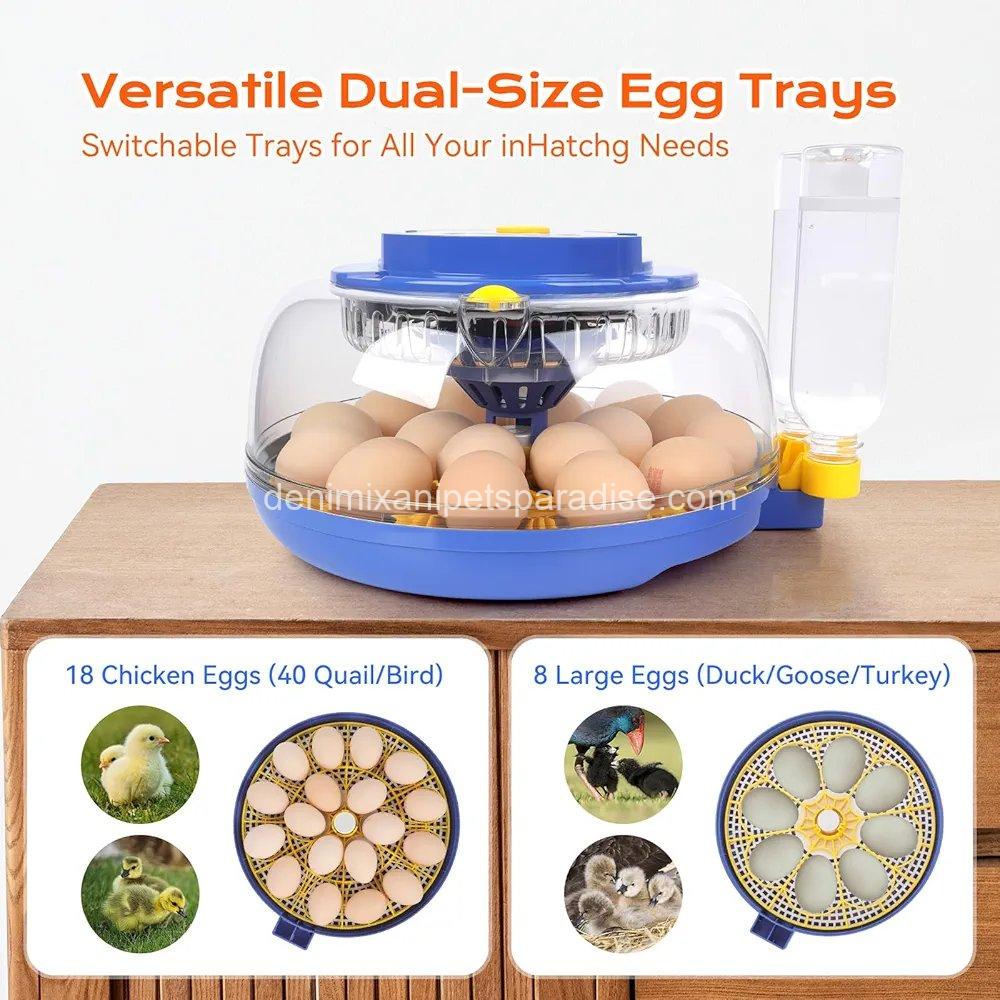 18 Egg Incubator, for Hatching Eggs with Automatic Egg Turner 5 18 Egg Incubator, for Hatching Eggs with Automatic Egg Turner - Image 5