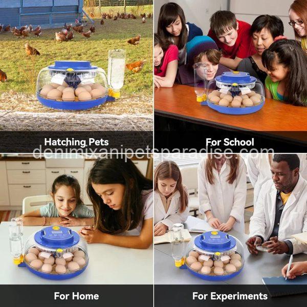 18 Egg Incubator, for Hatching Eggs with Automatic Egg Turner - Image 8