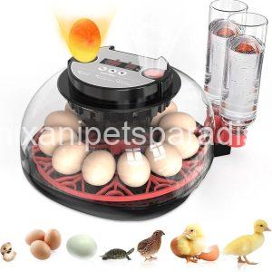 Incubators for Hatching Eggs Automatic Egg Incubator with Temperature Control Humidity Display 12 Egg Capacity