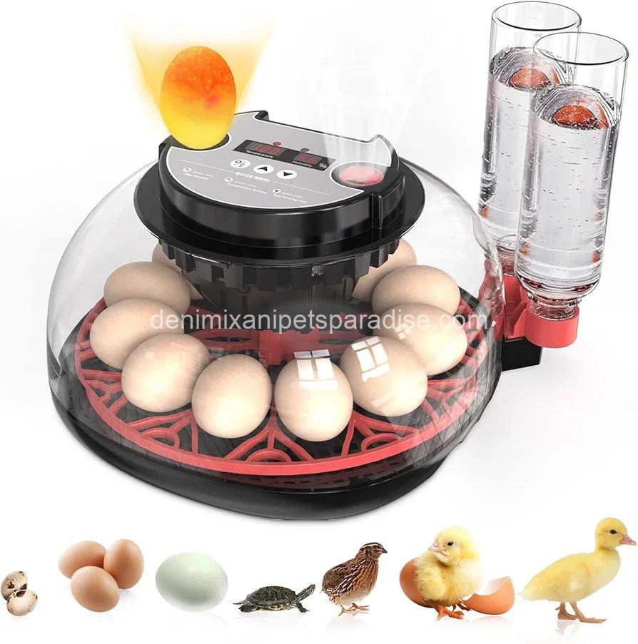Incubators for Hatching Eggs Automatic Egg Incubator with Temperature Control Humidity Display 12 Egg Capacity 1 Incubators for Hatching Eggs Automatic Egg Incubator with Temperature Control Humidity Display 12 Egg Capacity