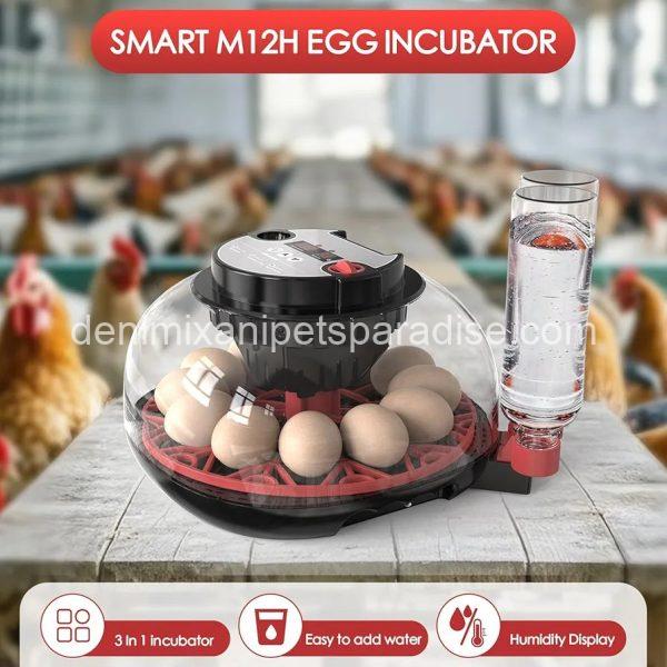 Incubators for Hatching Eggs Automatic Egg Incubator with Temperature Control Humidity Display 12 Egg Capacity - Image 2