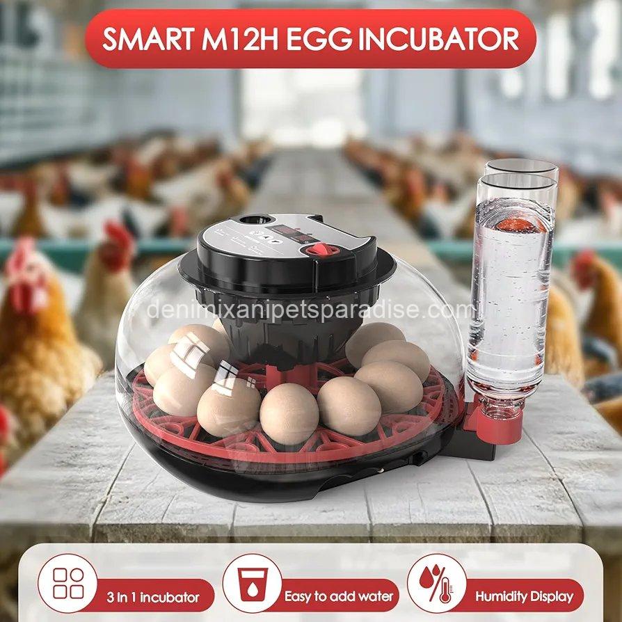 Incubators for Hatching Eggs Automatic Egg Incubator with Temperature Control Humidity Display 12 Egg Capacity 2 Incubators for Hatching Eggs Automatic Egg Incubator with Temperature Control Humidity Display 12 Egg Capacity - Image 2