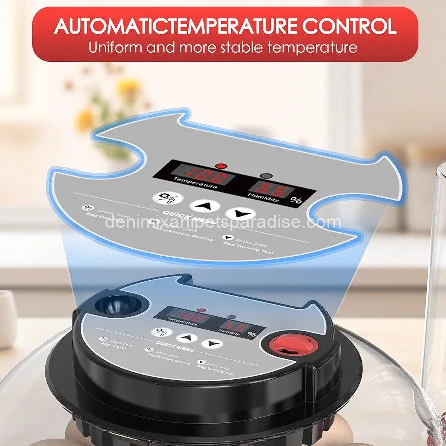 Incubators for Hatching Eggs Automatic Egg Incubator with Temperature Control Humidity Display 12 Egg Capacity 4 Incubators for Hatching Eggs Automatic Egg Incubator with Temperature Control Humidity Display 12 Egg Capacity - Image 4