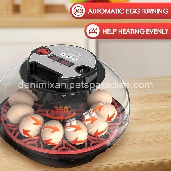 Incubators for Hatching Eggs Automatic Egg Incubator with Temperature Control Humidity Display 12 Egg Capacity - Image 7