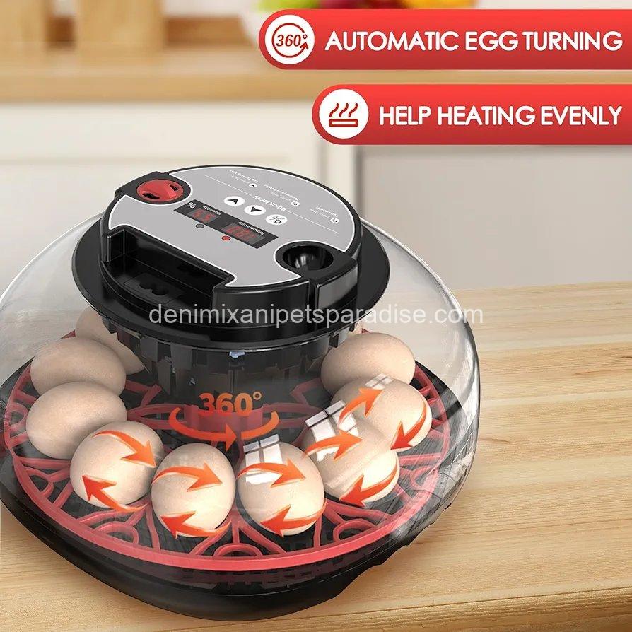 Incubators for Hatching Eggs Automatic Egg Incubator with Temperature Control Humidity Display 12 Egg Capacity 7 Incubators for Hatching Eggs Automatic Egg Incubator with Temperature Control Humidity Display 12 Egg Capacity - Image 7