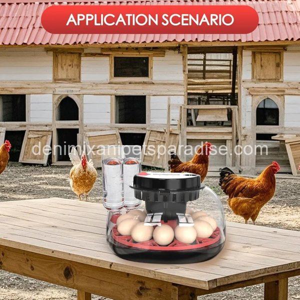 Incubators for Hatching Eggs Automatic Egg Incubator with Temperature Control Humidity Display 12 Egg Capacity - Image 3