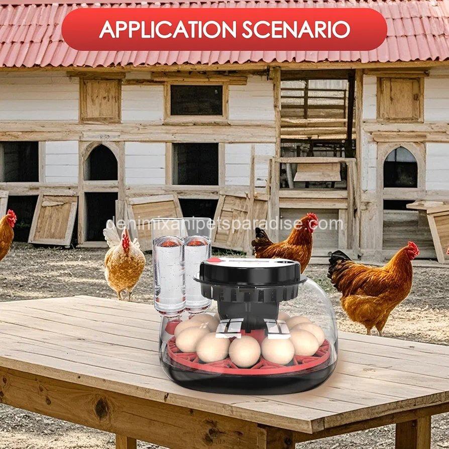Incubators for Hatching Eggs Automatic Egg Incubator with Temperature Control Humidity Display 12 Egg Capacity 3 Incubators for Hatching Eggs Automatic Egg Incubator with Temperature Control Humidity Display 12 Egg Capacity - Image 3