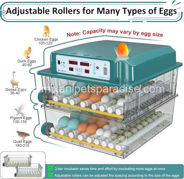 Incubators for Hatching 120 Eggs, Egg Incubator with Automatic Egg Turning and Humidity Monitor, - Image 7