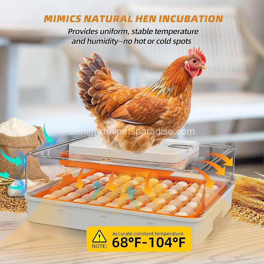 56 Egg Incubator, Automatic Turning & Smart Temp/ 4 56 Egg Incubator, Automatic Turning & Smart Temp/ - Image 4