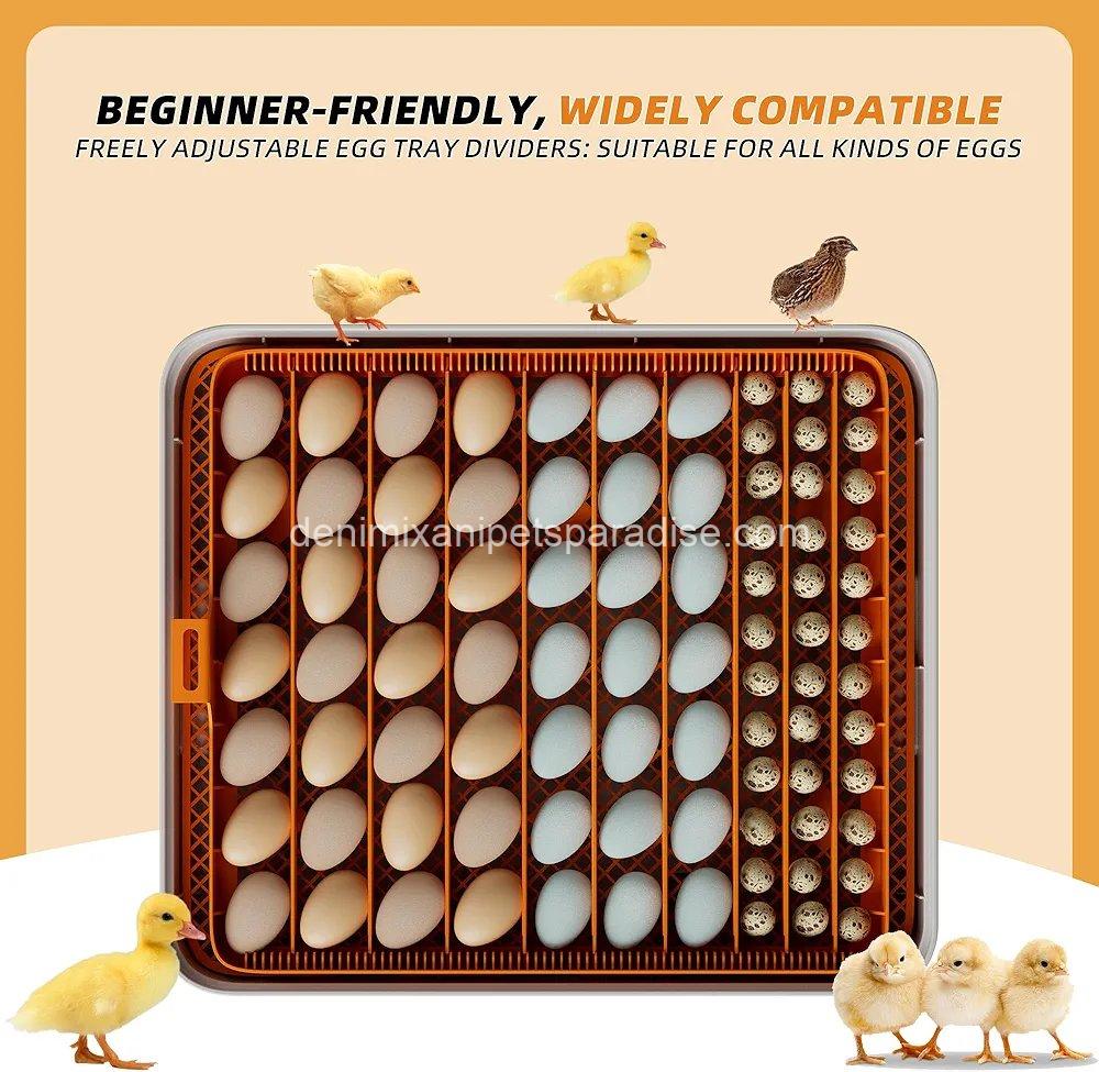 56 Egg Incubator, Automatic Turning & Smart Temp/ 2 56 Egg Incubator, Automatic Turning & Smart Temp/ - Image 2
