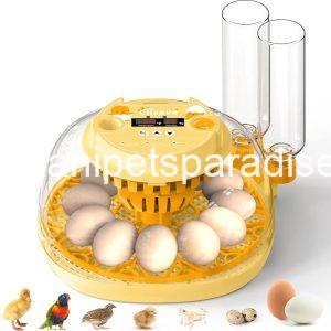 Egg Incubator for Hatching Chicks, Automatic Egg Turner Holds 12 Eggs,