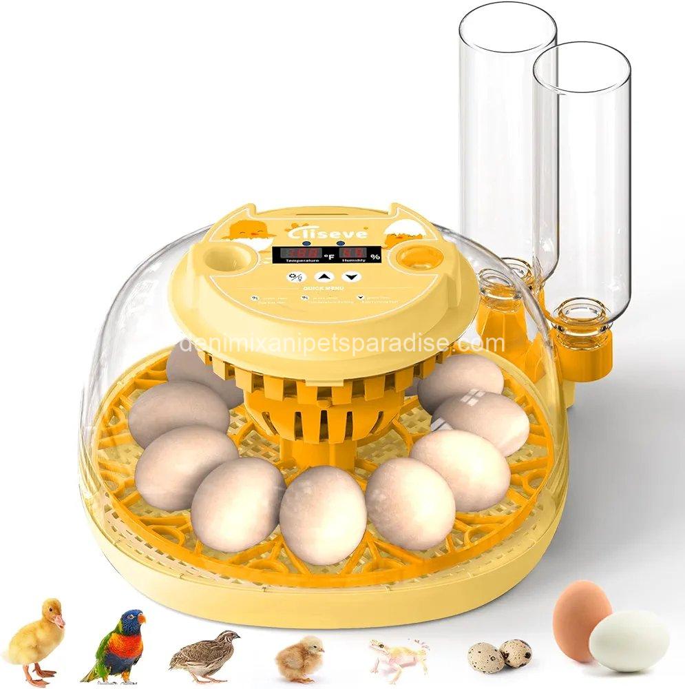 Egg Incubator for Hatching Chicks, Automatic Egg Turner Holds 12 Eggs,  1 Egg Incubator for Hatching Chicks, Automatic Egg Turner Holds 12 Eggs,