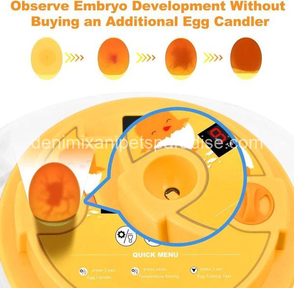 Egg Incubator for Hatching Chicks, Automatic Egg Turner Holds 12 Eggs,  - Image 7