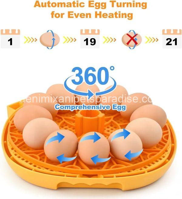 Egg Incubator for Hatching Chicks, Automatic Egg Turner Holds 12 Eggs,  - Image 3