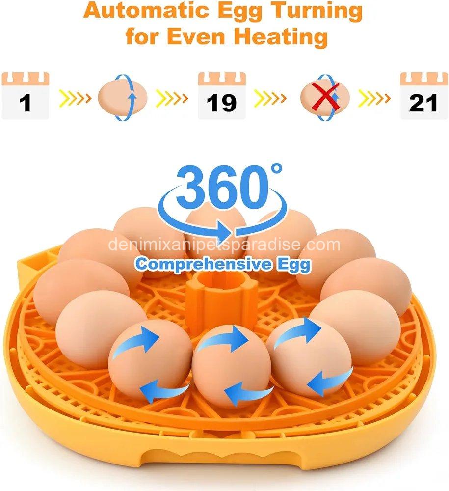 Egg Incubator for Hatching Chicks, Automatic Egg Turner Holds 12 Eggs,  3 Egg Incubator for Hatching Chicks, Automatic Egg Turner Holds 12 Eggs,  - Image 3