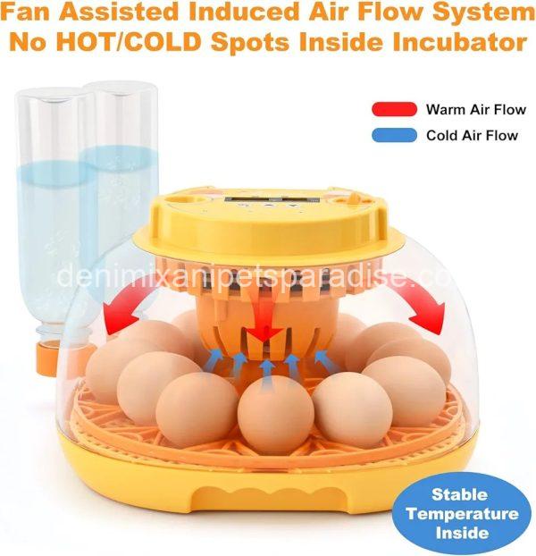 Egg Incubator for Hatching Chicks, Automatic Egg Turner Holds 12 Eggs,  - Image 2