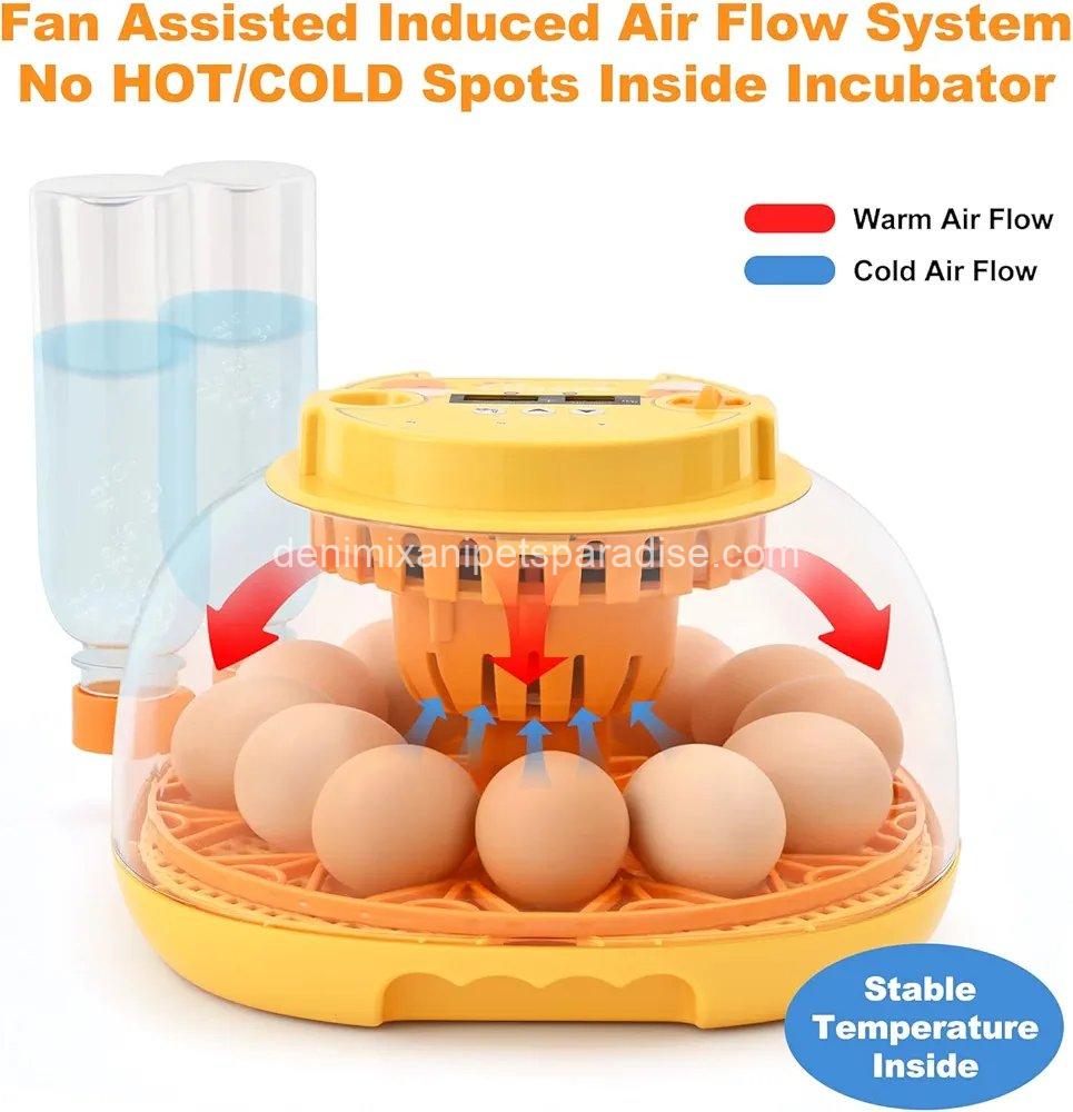 Egg Incubator for Hatching Chicks, Automatic Egg Turner Holds 12 Eggs,  2 Egg Incubator for Hatching Chicks, Automatic Egg Turner Holds 12 Eggs,  - Image 2