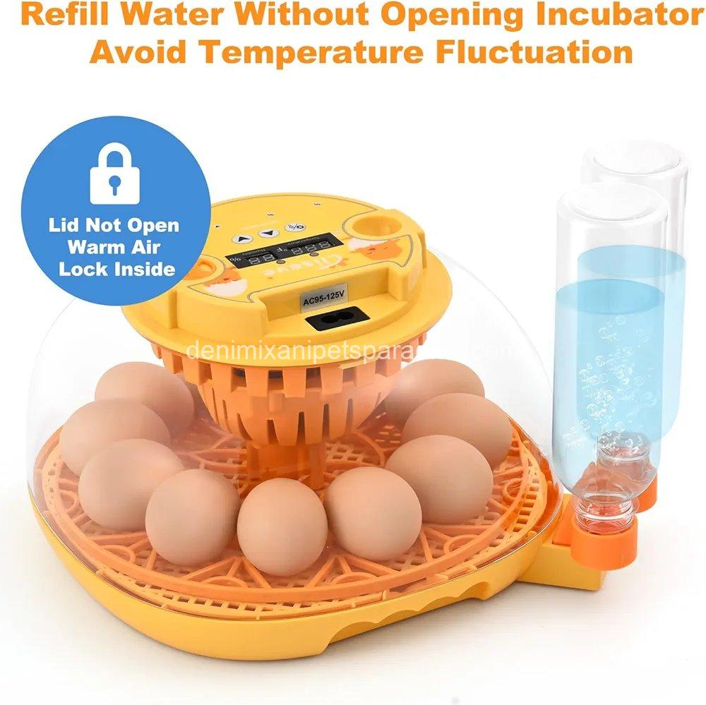 Egg Incubator for Hatching Chicks, Automatic Egg Turner Holds 12 Eggs,  4 Egg Incubator for Hatching Chicks, Automatic Egg Turner Holds 12 Eggs,  - Image 4