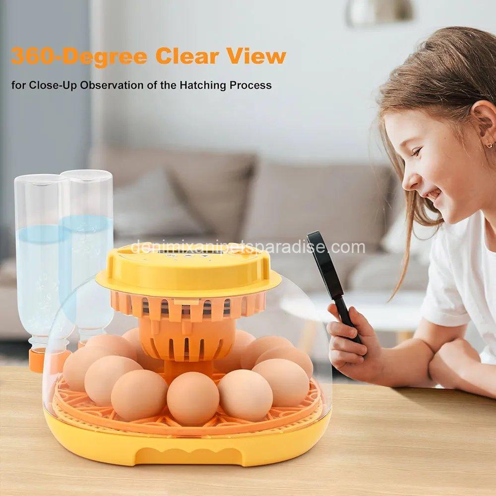 Egg Incubator for Hatching Chicks, Automatic Egg Turner Holds 12 Eggs,  5 Egg Incubator for Hatching Chicks, Automatic Egg Turner Holds 12 Eggs,  - Image 5