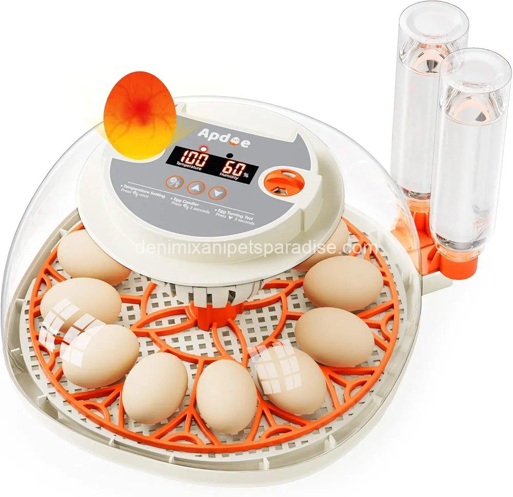 Egg Incubator with Temperature and Humidity Control, Automatic Egg Turner,  1 Egg Incubator with Temperature and Humidity Control, Automatic Egg Turner,