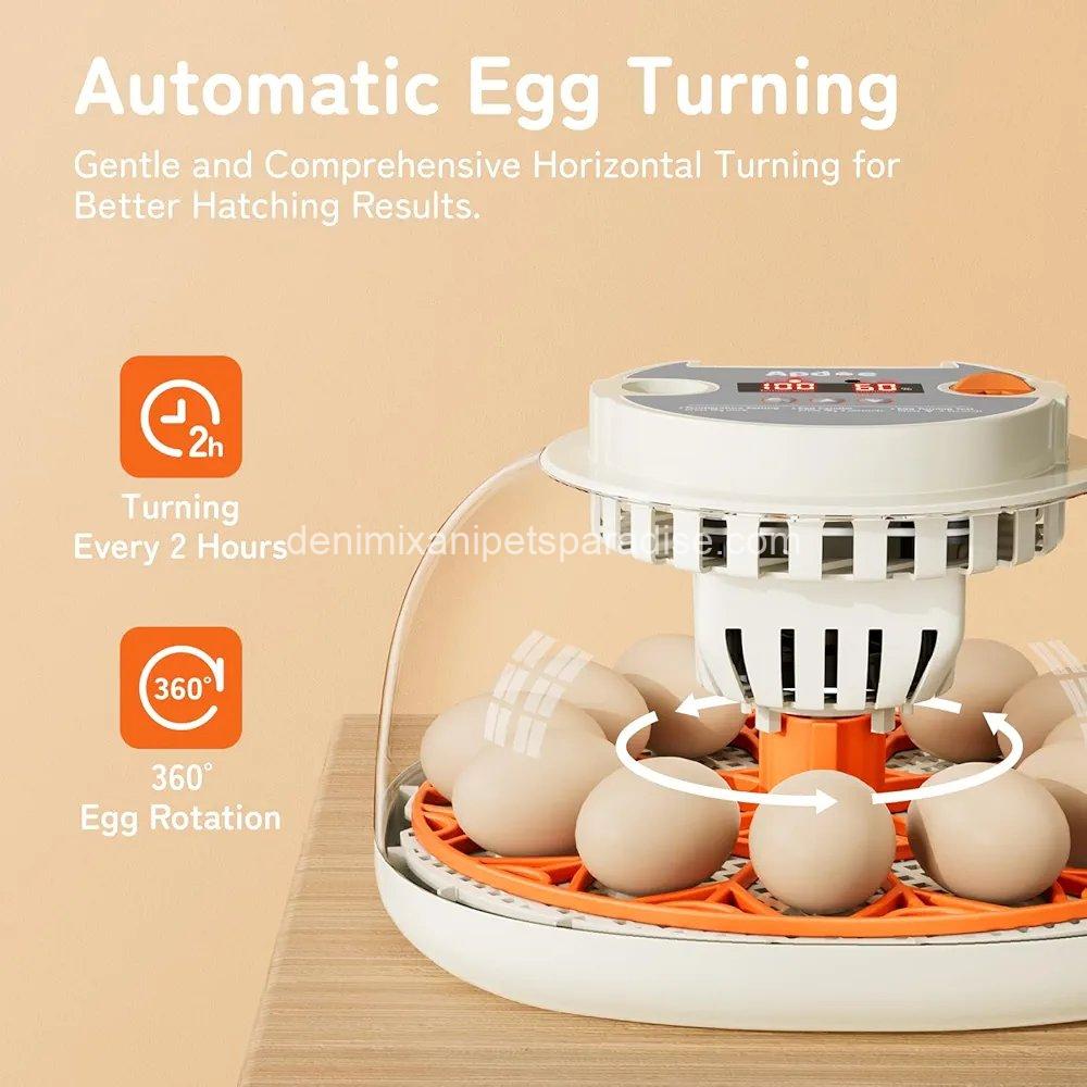 Egg Incubator with Temperature and Humidity Control, Automatic Egg Turner,  5 Egg Incubator with Temperature and Humidity Control, Automatic Egg Turner,  - Image 5
