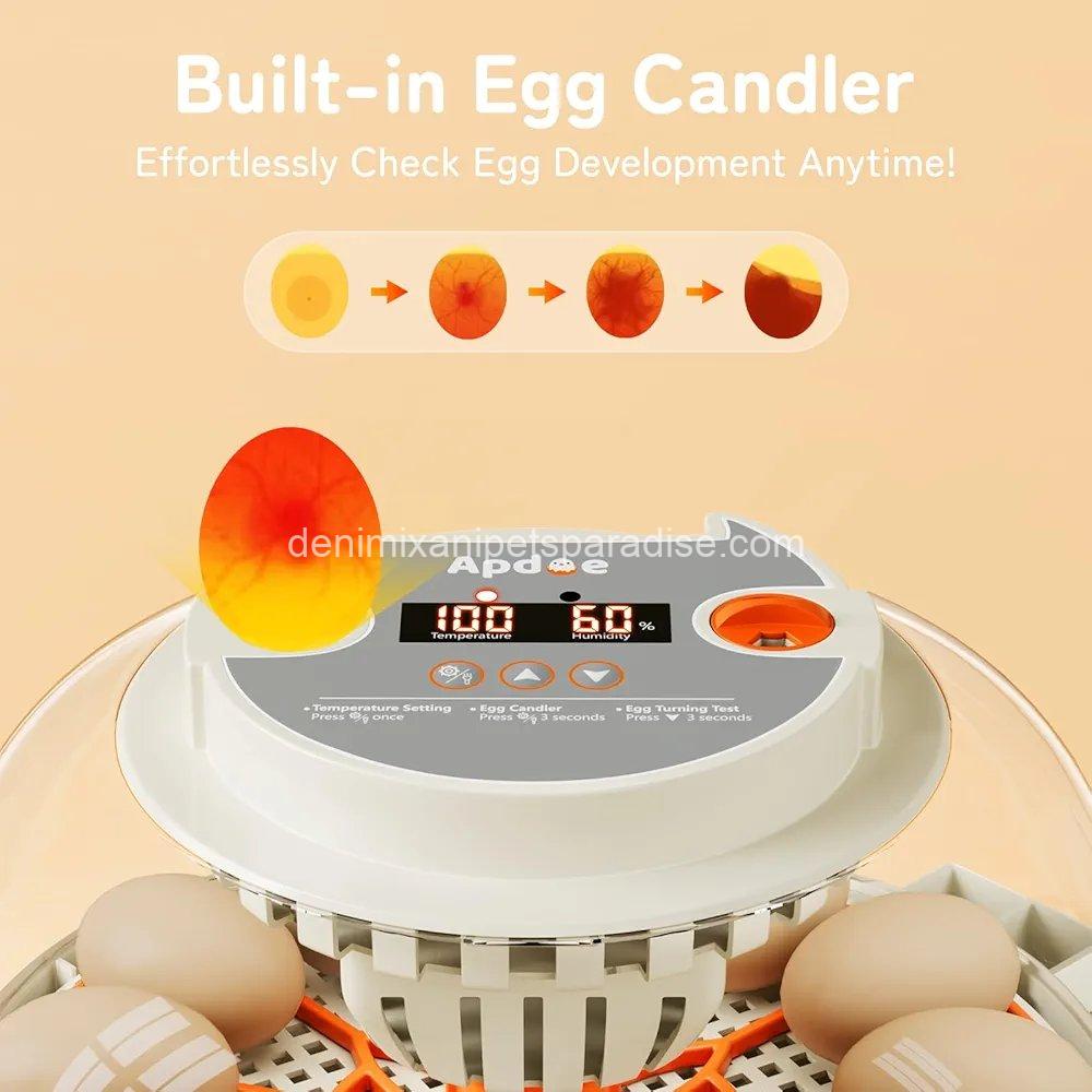 Egg Incubator with Temperature and Humidity Control, Automatic Egg Turner,  2 Egg Incubator with Temperature and Humidity Control, Automatic Egg Turner,  - Image 2