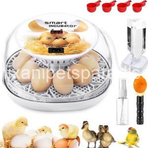 Egg Incubator with Automatic Egg Turning Control, Incubators for Hatching Eggs