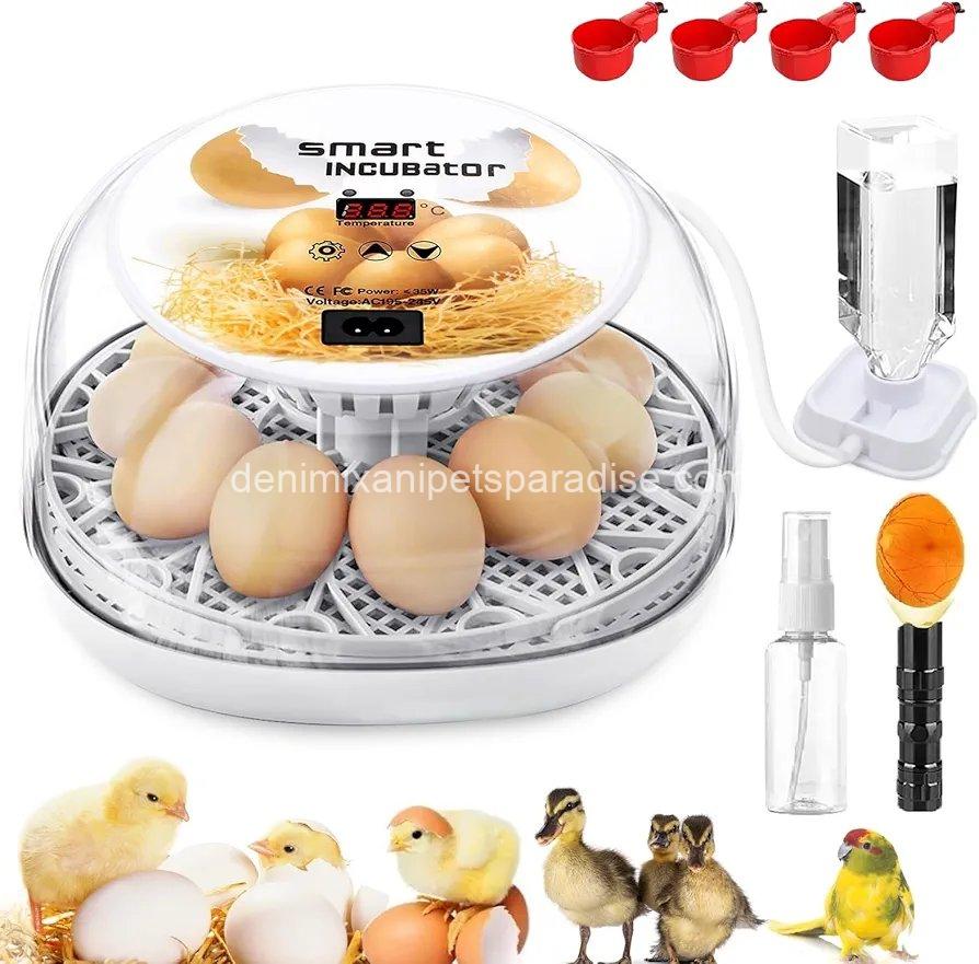 Egg Incubator with Automatic Egg Turning Control, Incubators for Hatching Eggs 1 Egg Incubator with Automatic Egg Turning Control, Incubators for Hatching Eggs