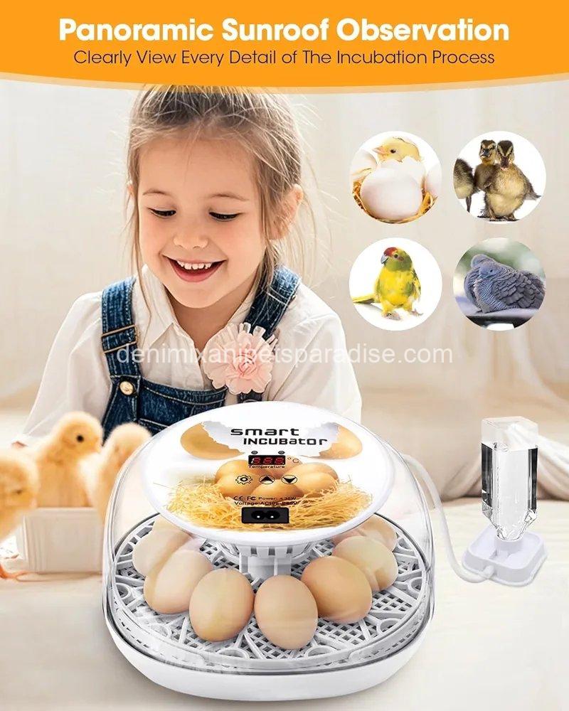 Egg Incubator with Automatic Egg Turning Control, Incubators for Hatching Eggs 5 Egg Incubator with Automatic Egg Turning Control, Incubators for Hatching Eggs - Image 5