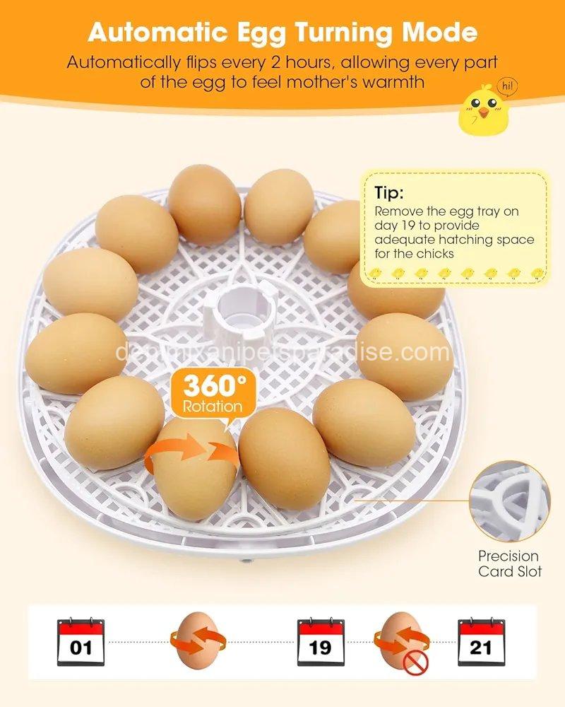 Egg Incubator with Automatic Egg Turning Control, Incubators for Hatching Eggs 3 Egg Incubator with Automatic Egg Turning Control, Incubators for Hatching Eggs - Image 3