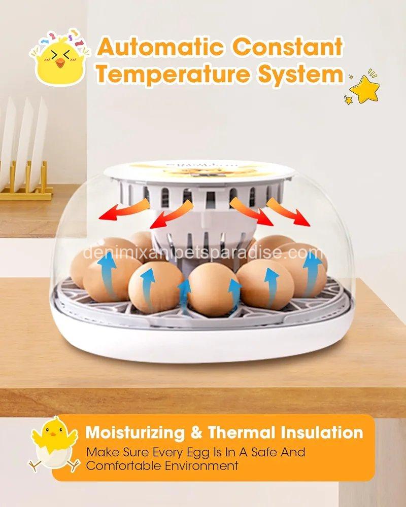 Egg Incubator with Automatic Egg Turning Control, Incubators for Hatching Eggs 2 Egg Incubator with Automatic Egg Turning Control, Incubators for Hatching Eggs - Image 2
