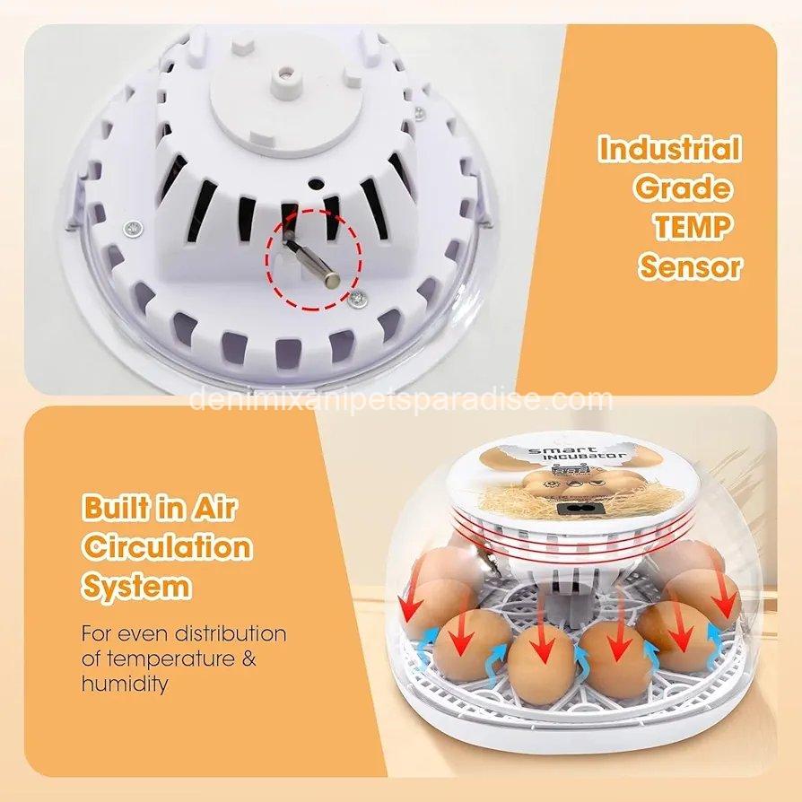 Egg Incubator for Hatching Chicks, Holds 12 Eggs, Automatic Egg Turner with Temperature, 8 Egg Incubator for Hatching Chicks, Holds 12 Eggs, Automatic Egg Turner with Temperature, - Image 8