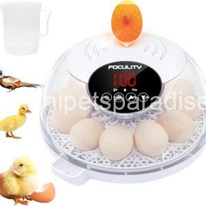 Egg Incubator for Hatching Chicks, Holds 12 Eggs, Automatic Egg Turner with Temperature,