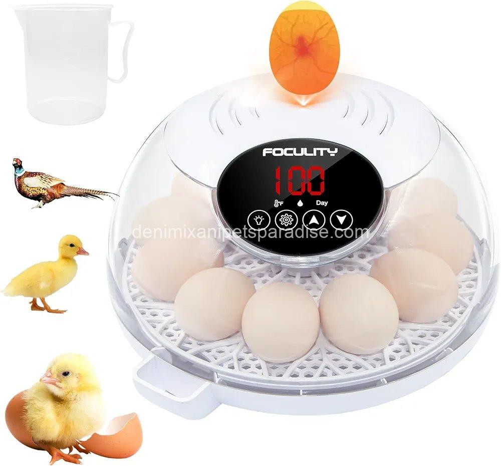 Egg Incubator for Hatching Chicks, Holds 12 Eggs, Automatic Egg Turner with Temperature, 1 Egg Incubator for Hatching Chicks, Holds 12 Eggs, Automatic Egg Turner with Temperature,