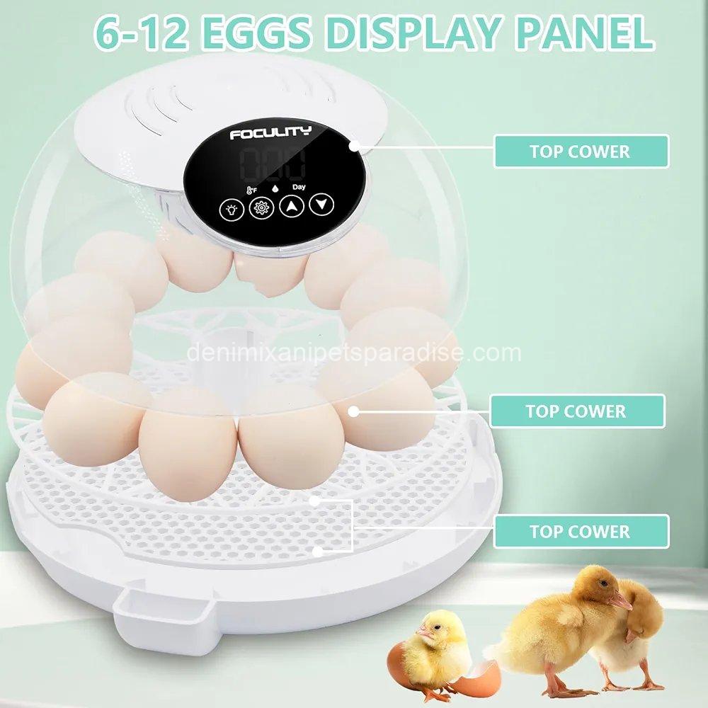 Egg Incubator for Hatching Chicks, Holds 12 Eggs, Automatic Egg Turner with Temperature, 2 Egg Incubator for Hatching Chicks, Holds 12 Eggs, Automatic Egg Turner with Temperature, - Image 2