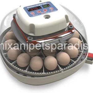 Harris Farms Nurture Right Egg Incubator for Hatching Chicks, Holds 12-22 Eggs, 