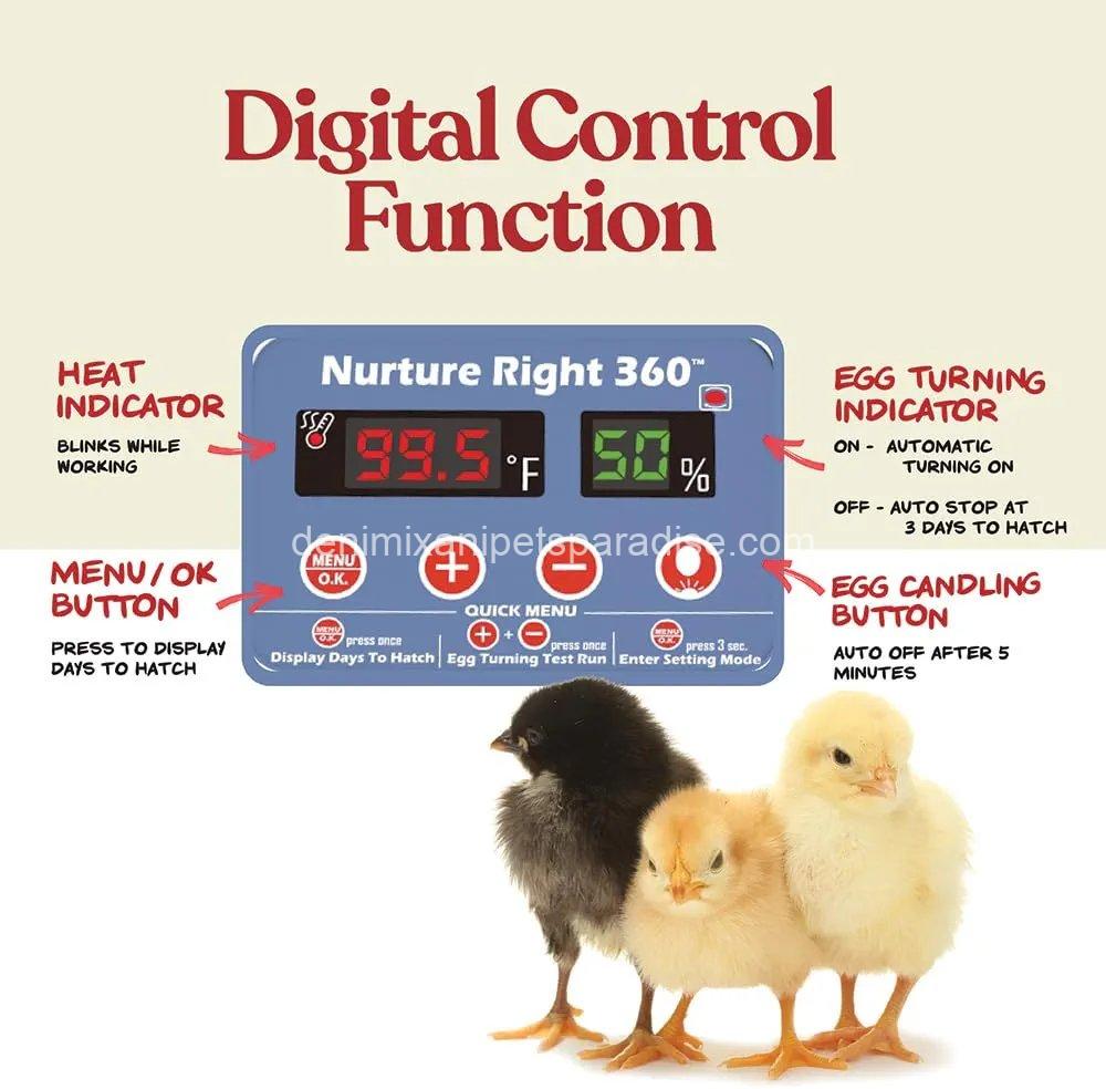 Harris Farms Nurture Right Egg Incubator for Hatching Chicks, Holds 12-22 Eggs,  5 Harris Farms Nurture Right Egg Incubator for Hatching Chicks, Holds 12-22 Eggs,  - Image 5