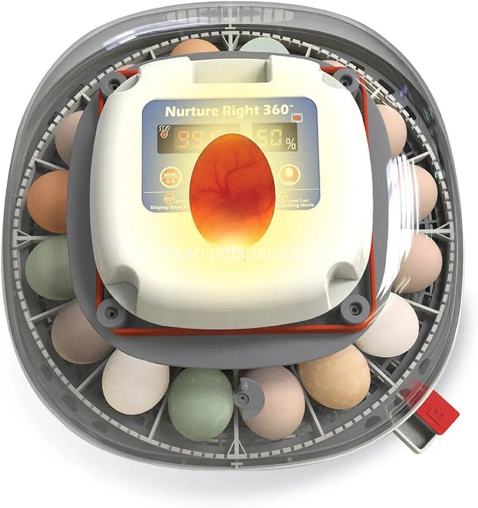 Harris Farms Nurture Right Egg Incubator for Hatching Chicks, Holds 12-22 Eggs,  2 Harris Farms Nurture Right Egg Incubator for Hatching Chicks, Holds 12-22 Eggs,  - Image 2