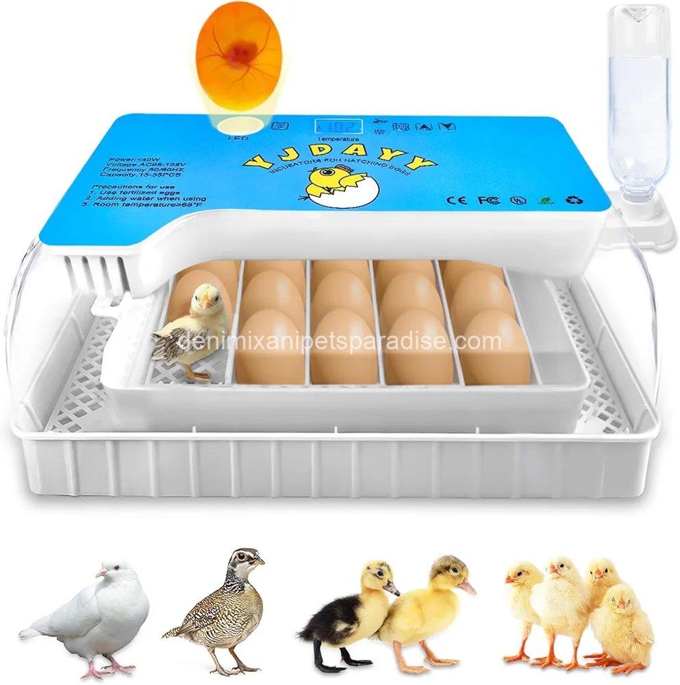 Incubators for Hatching Eggs 15-35 Eggs Incubator with Automatic Egg 1 Incubators for Hatching Eggs 15-35 Eggs Incubator with Automatic Egg