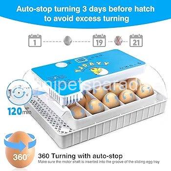 Incubators for Hatching Eggs 15-35 Eggs Incubator with Automatic Egg 3 Incubators for Hatching Eggs 15-35 Eggs Incubator with Automatic Egg - Image 3