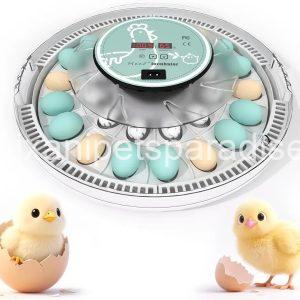 MeeF incubators for Hatching Eggs,Automatic 30 Eggs Incubator with Automatic Turner and Humidity Control, can Hatch Duck Eggs,
