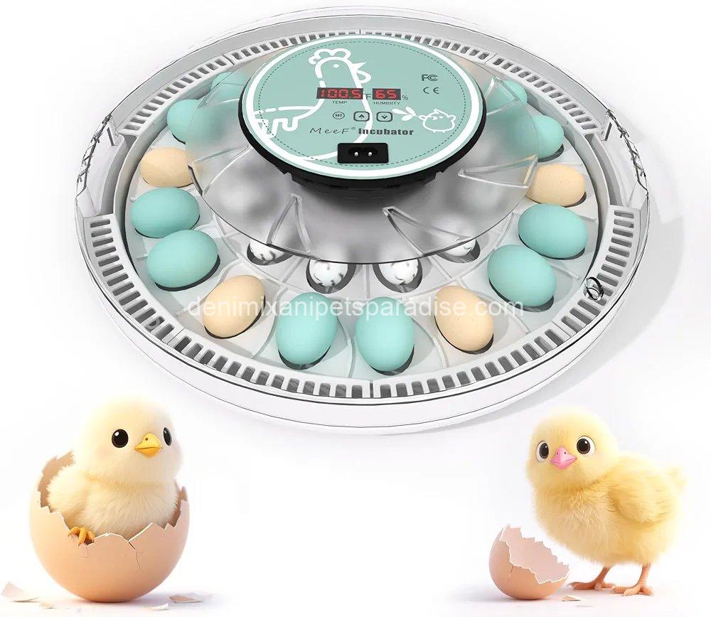 MeeF incubators for Hatching Eggs,Automatic 30 Eggs Incubator with Automatic Turner and Humidity Control, can Hatch Duck Eggs, 1 MeeF incubators for Hatching Eggs,Automatic 30 Eggs Incubator with Automatic Turner and Humidity Control, can Hatch Duck Eggs,