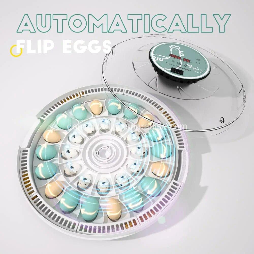 MeeF incubators for Hatching Eggs,Automatic 30 Eggs Incubator with Automatic Turner and Humidity Control, can Hatch Duck Eggs, 2 MeeF incubators for Hatching Eggs,Automatic 30 Eggs Incubator with Automatic Turner and Humidity Control, can Hatch Duck Eggs, - Image 2