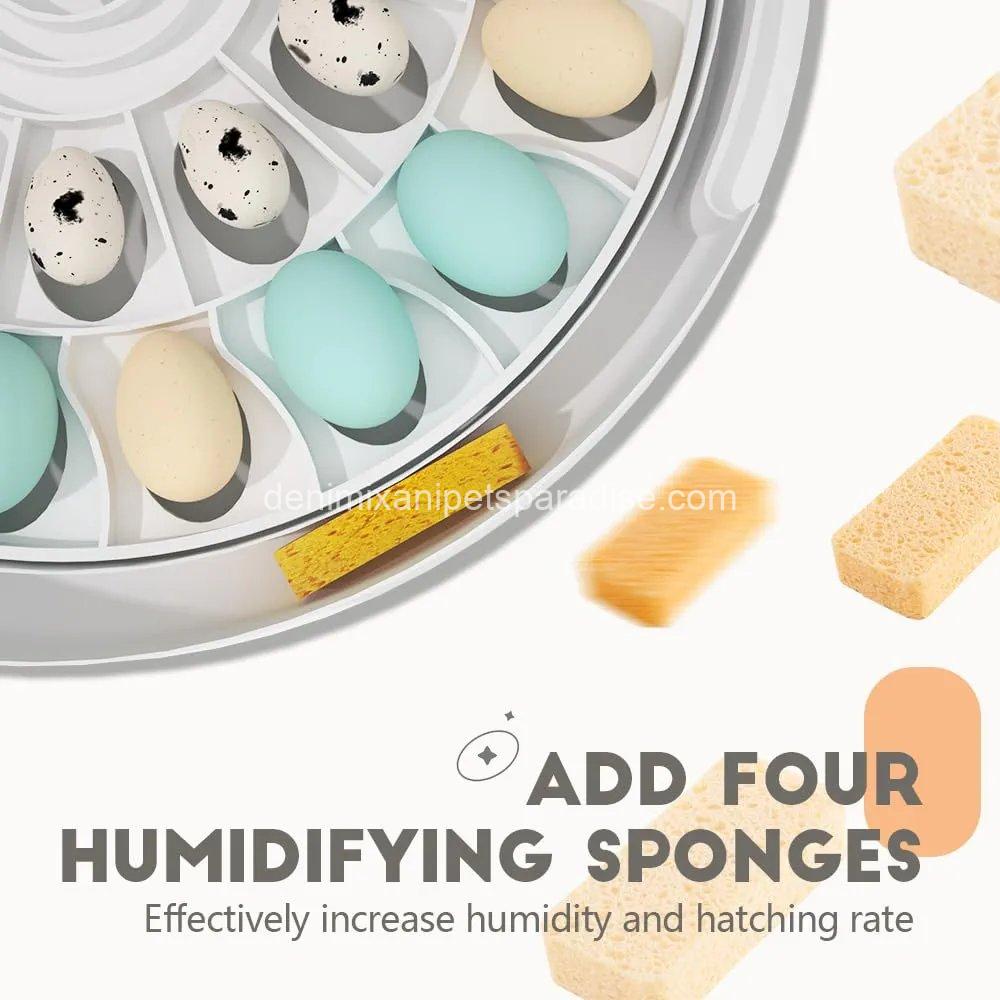 MeeF incubators for Hatching Eggs,Automatic 30 Eggs Incubator with Automatic Turner and Humidity Control, can Hatch Duck Eggs, 6 MeeF incubators for Hatching Eggs,Automatic 30 Eggs Incubator with Automatic Turner and Humidity Control, can Hatch Duck Eggs, - Image 6