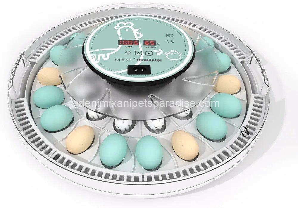 MeeF incubators for Hatching Eggs,Automatic 30 Eggs Incubator with Automatic Turner and Humidity Control, can Hatch Duck Eggs, 4 MeeF incubators for Hatching Eggs,Automatic 30 Eggs Incubator with Automatic Turner and Humidity Control, can Hatch Duck Eggs, - Image 4