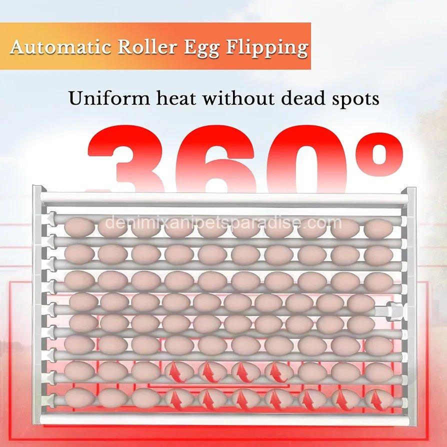 36 Quail Incubators for Hatching Eggs, Quail Egg Incubator with Automatic Egg Turning and Humidity Control, 7 36 Quail Incubators for Hatching Eggs, Quail Egg Incubator with Automatic Egg Turning and Humidity Control, - Image 7